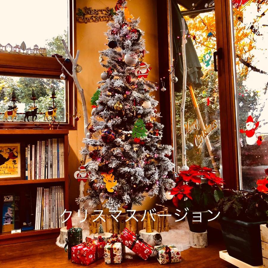 ガーデンハウス Mako Land Villa โทยามะ ภายนอก รูปภาพ